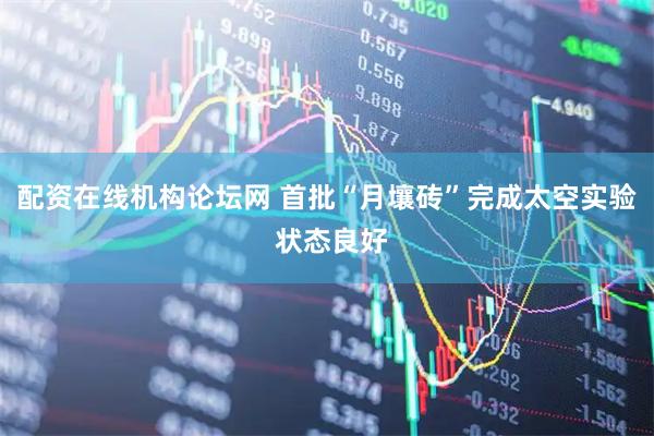 配资在线机构论坛网 首批“月壤砖”完成太空实验 状态良好