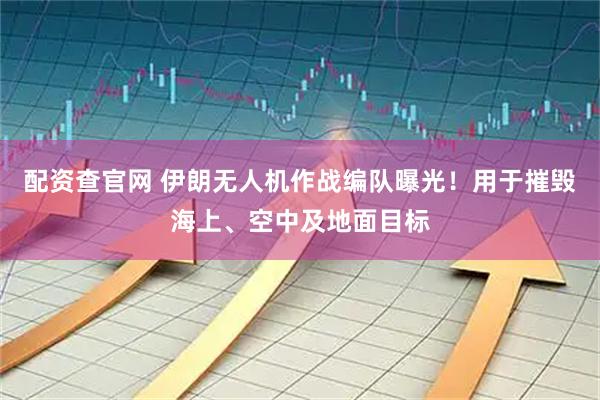 配资查官网 伊朗无人机作战编队曝光！用于摧毁海上、空中及地面目标