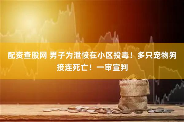 配资查股网 男子为泄愤在小区投毒！多只宠物狗接连死亡！一审宣判