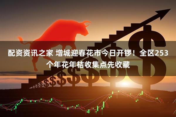 配资资讯之家 增城迎春花市今日开锣！全区253个年花年桔收集点先收藏